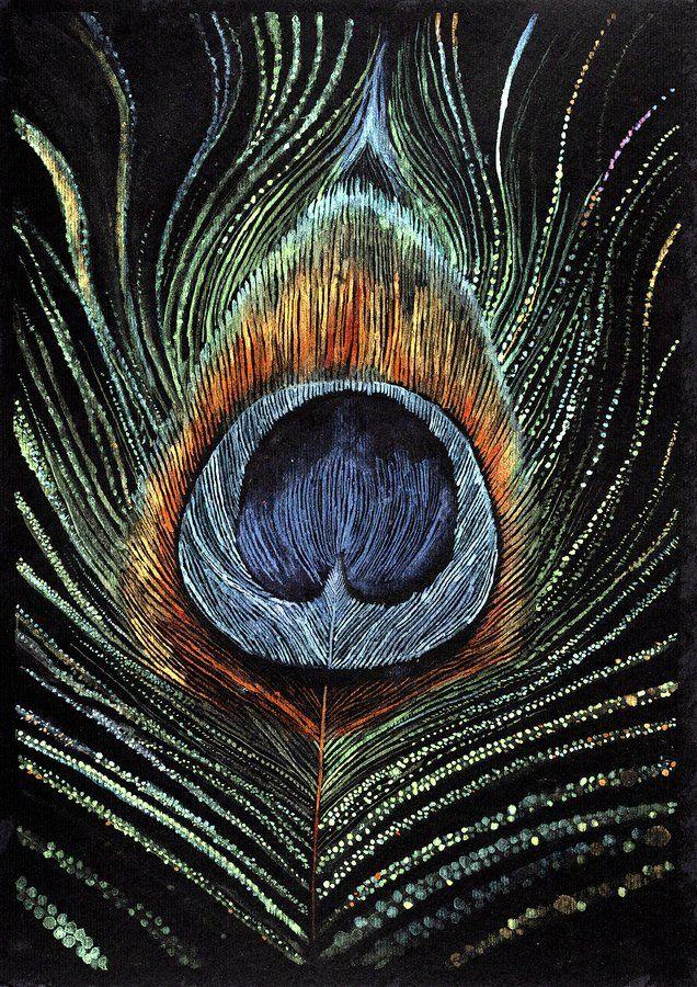 image 015