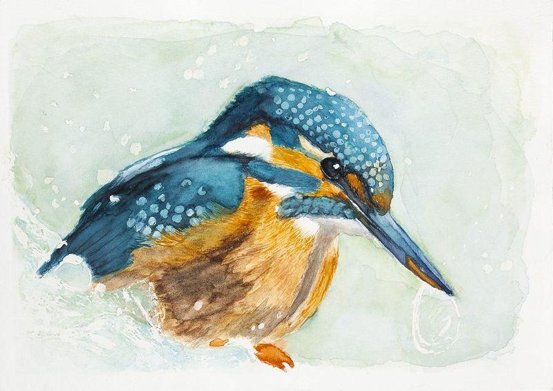 image 017